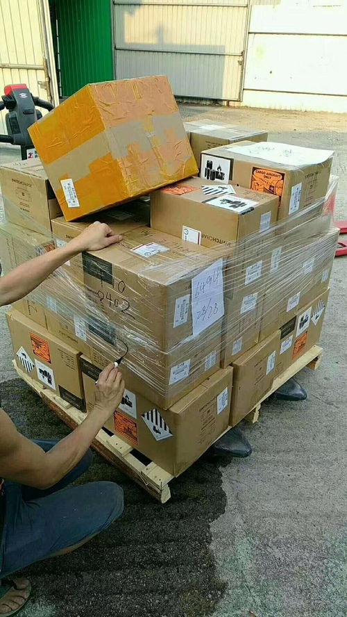 香港3000平方密封倉(cāng) 理貨分揀一站式服務(wù)，賦能深港物流與外賣遞送